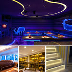 NebulaGaze®-LED Strip Light (500CM)